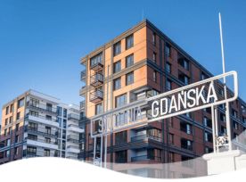 grafika
