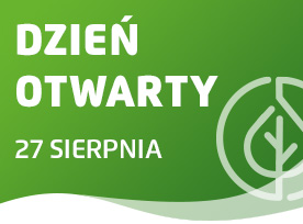 grafika