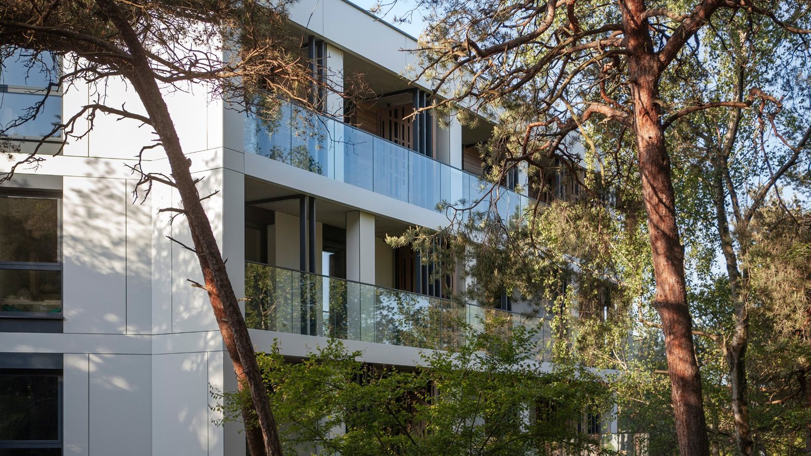 Las – apartamenty z oknami wychodzącymi na sosnowy las
