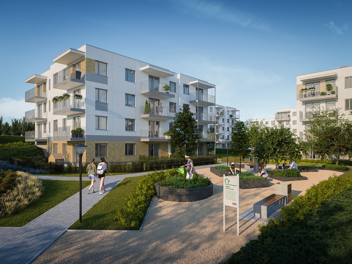 Osiedle Zielony Południk - zielnik sąsiedzki