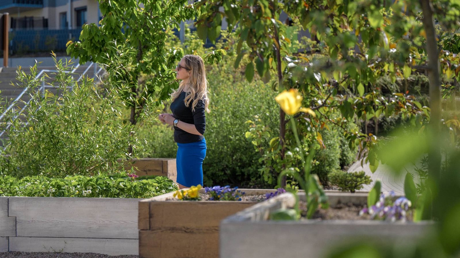 5 Osiedle Zielony Południk - zielnik sąsiedzki