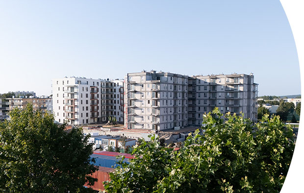 grafika