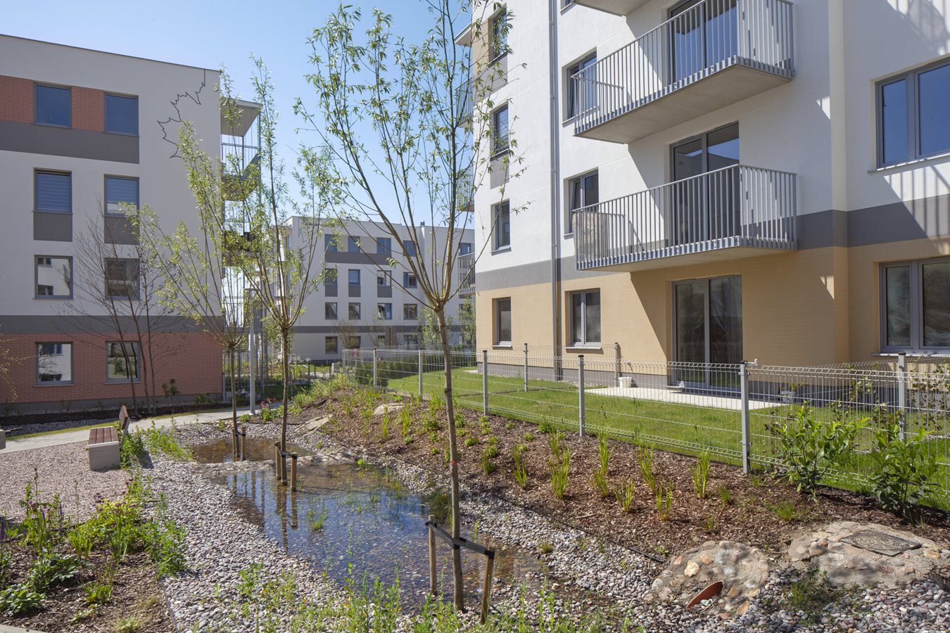 Osiedle Zielony Południk – ogrody deszczowe na osiedlu